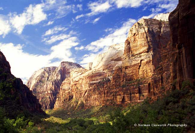 Zion Cliffs from Weeping Rock 
